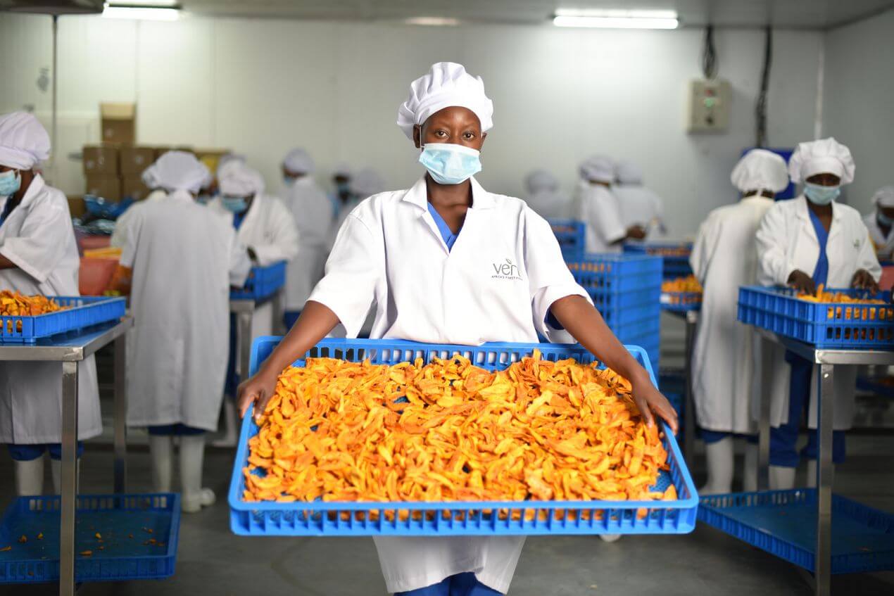Wallaroo gently dried organic mango - ready to be packed