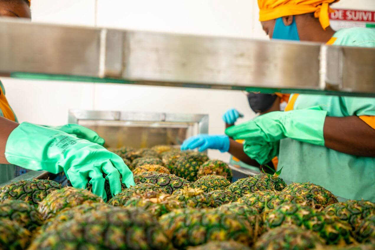 Wallaroo organic dried pineapple chunks