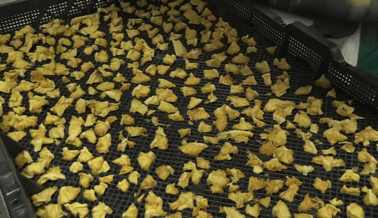 Wallaroo organic dried pineapple chunks