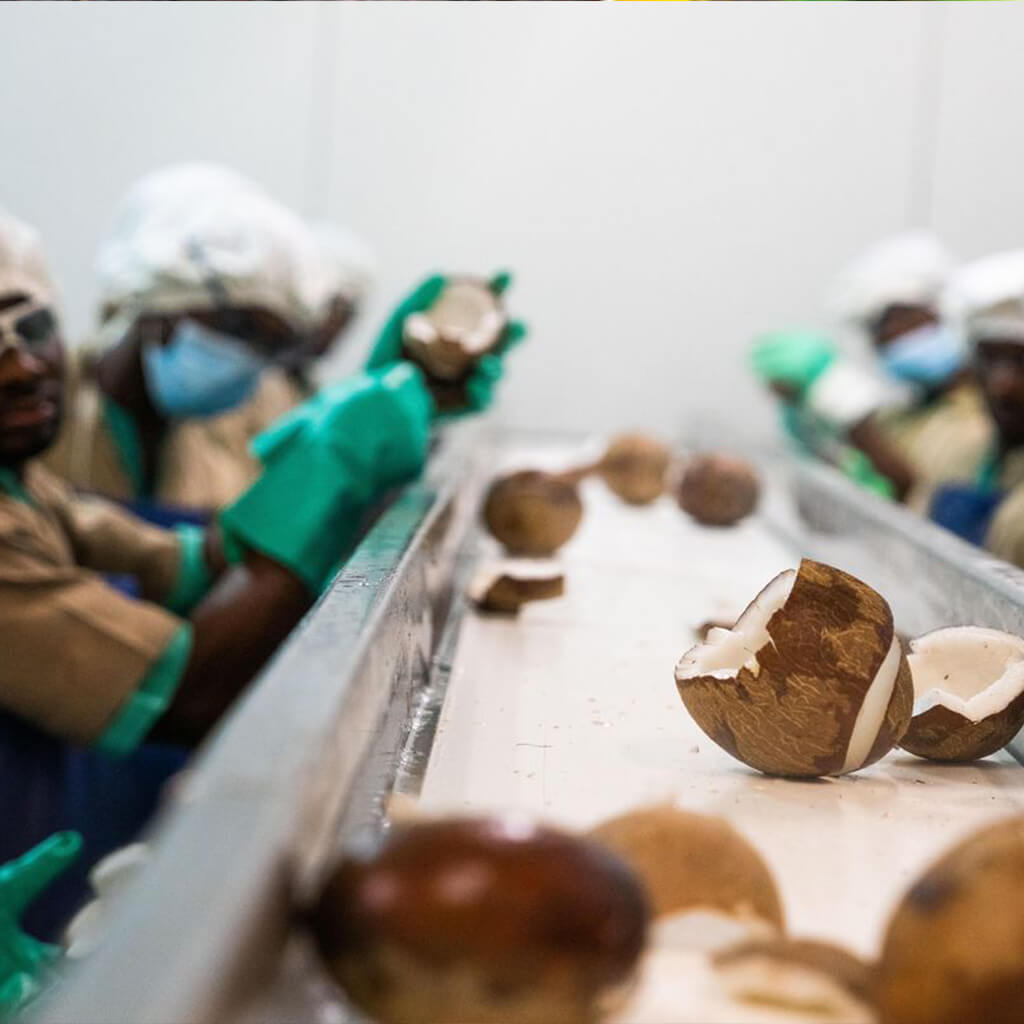 Organic coconut