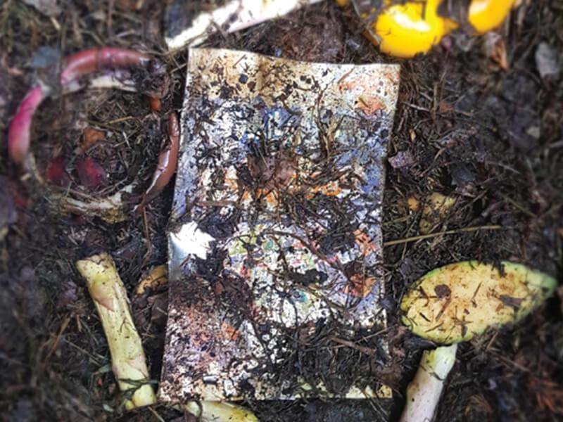 Wallaroo wrapper being composted