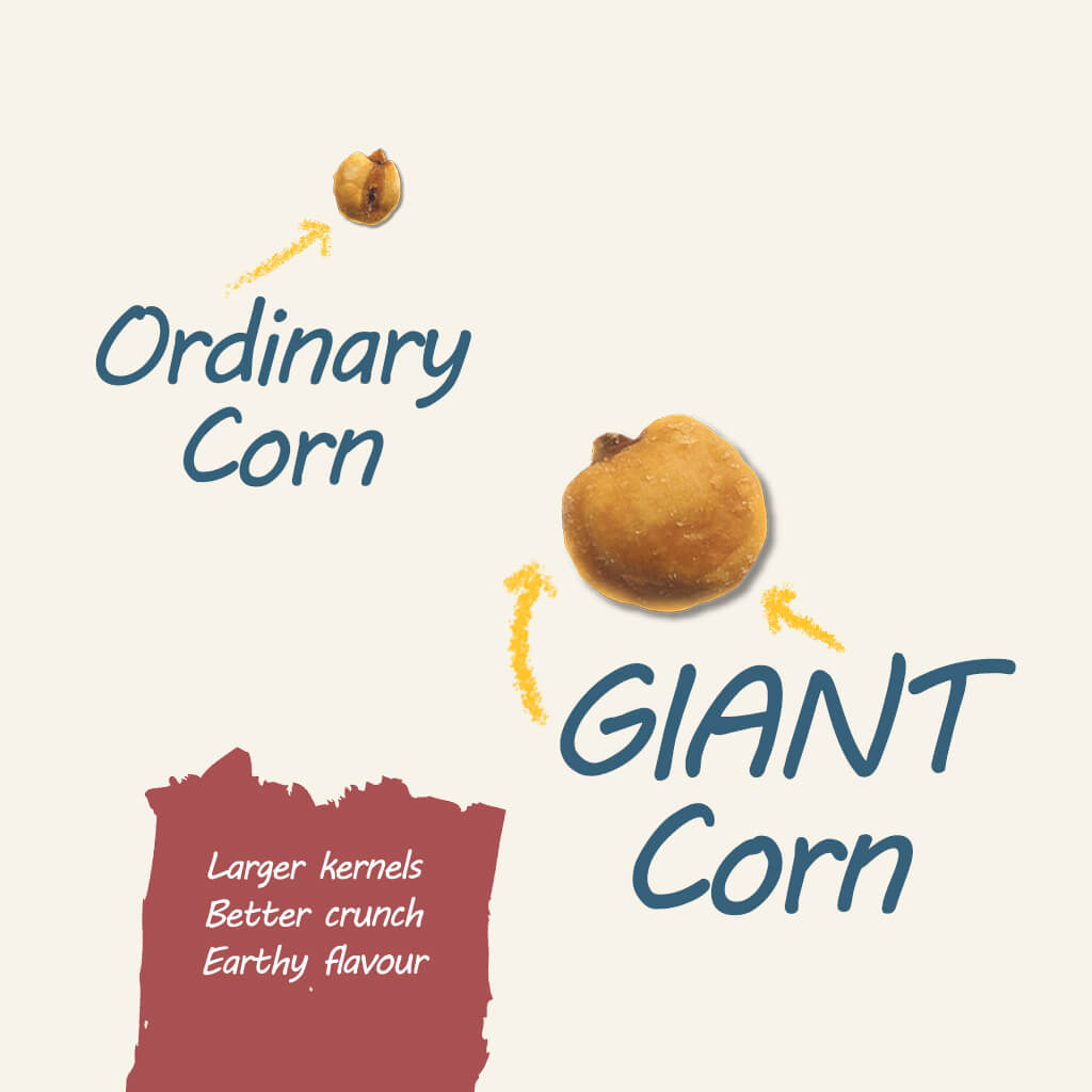 Giant corn vs ordinary corn