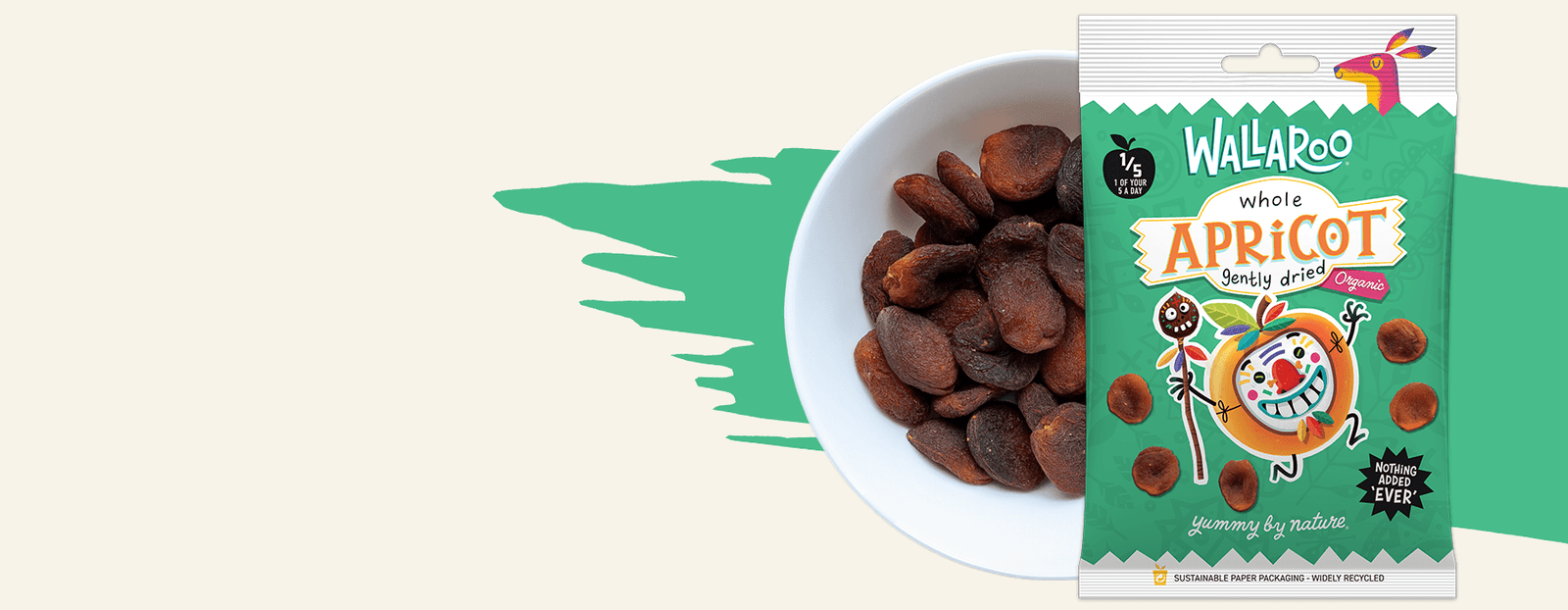 Organic Dried Apricots