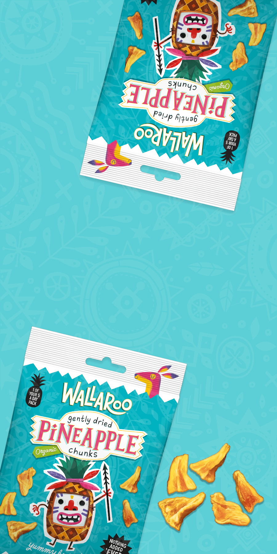 Organic Organic Dried Pineapple Chunks