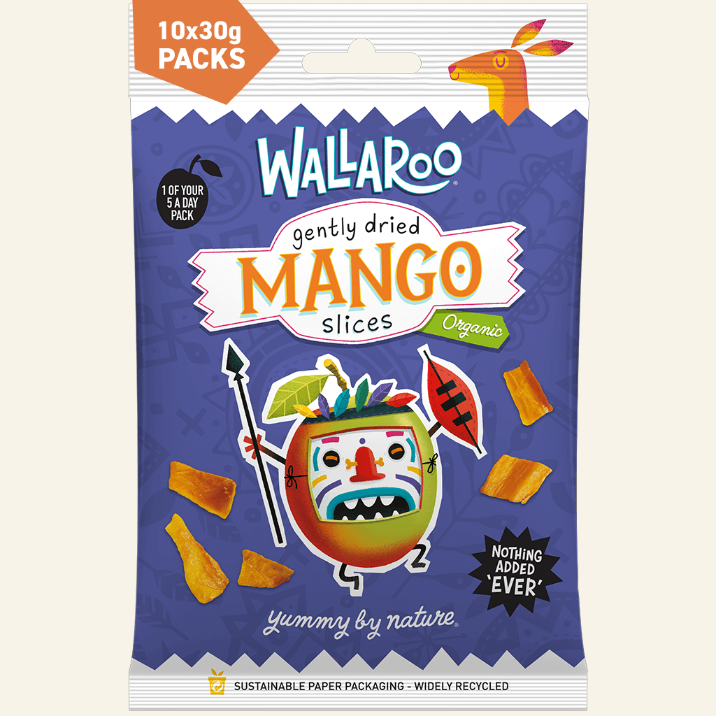 Organic Dried Mango