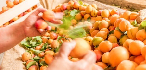 Wallaroo organic gently dried whole apricots