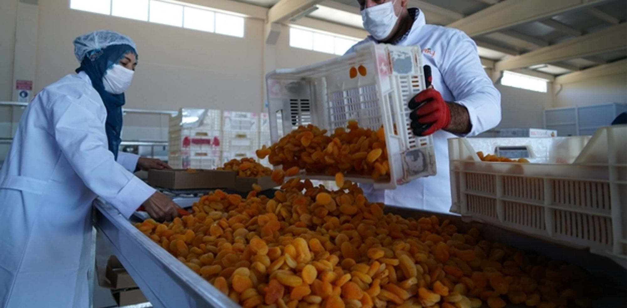 Wallaroo organic gently dried whole apricots