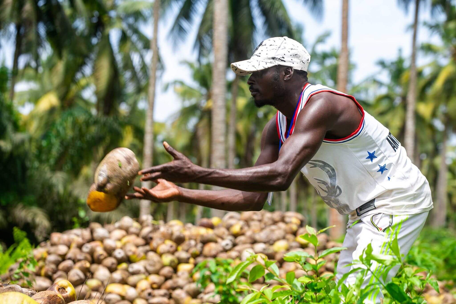Wallaroo organic toasted coconut chips