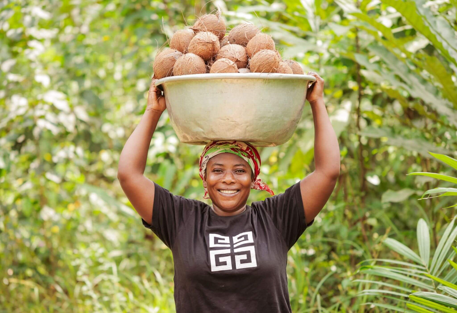 Wallaroo organic toasted coconut chips