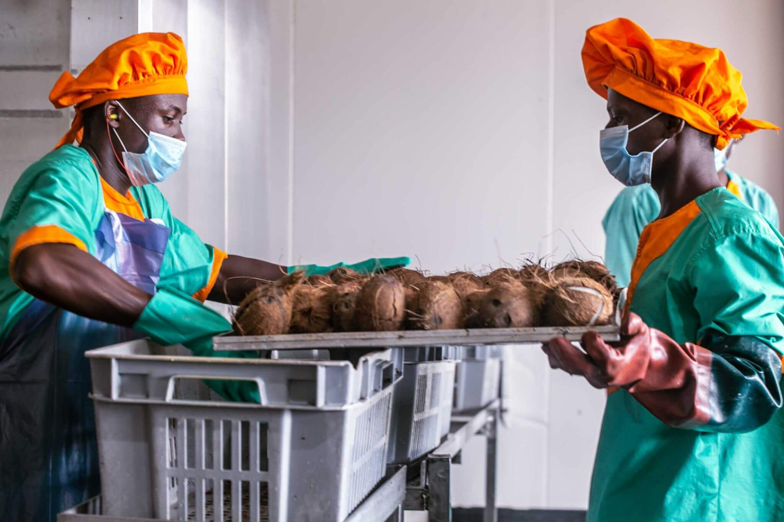 Wallaroo organic toasted coconut chips