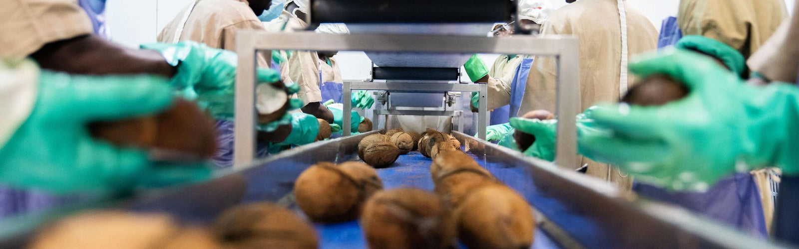 Wallaroo organic toasted coconut chips