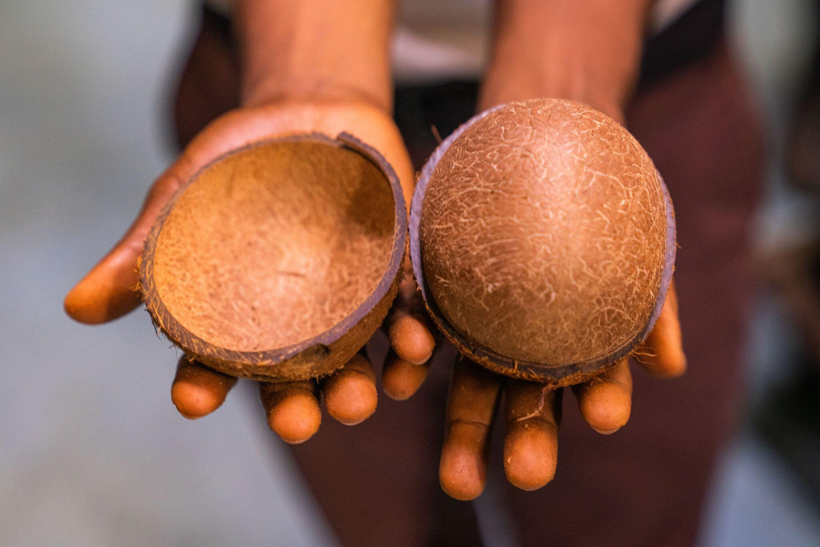 Wallaroo organic toasted coconut chips