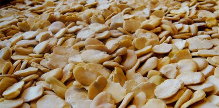 Wallaroo roasted fava bean salted snacks being made