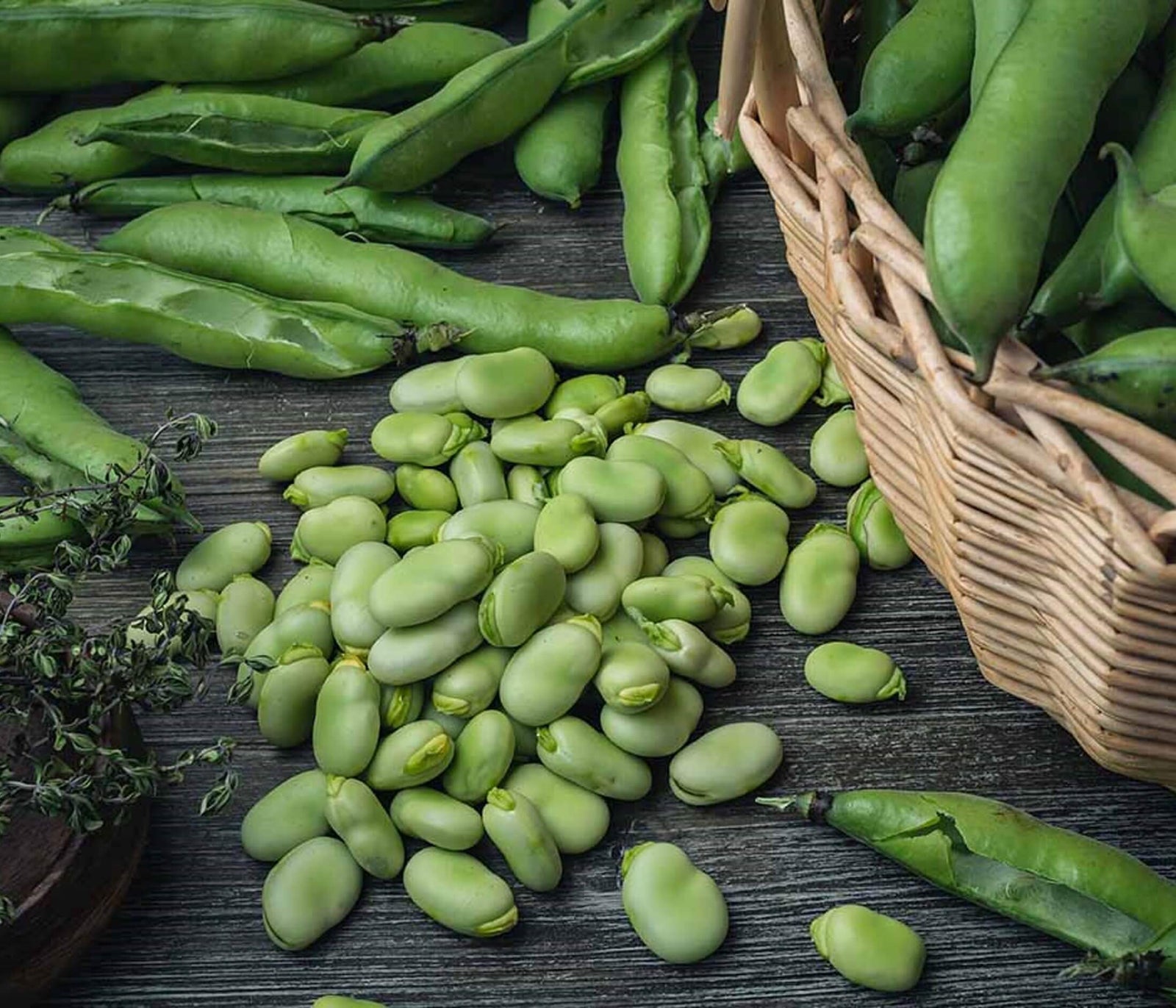 Wallaroo roasted fava bean salted snacks are made from the green pods