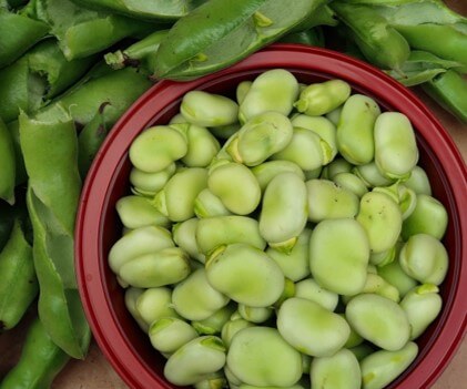 Wallaroo roasted fava bean salted snacks make for a deliciously healthy snack