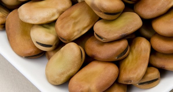 Wallaroo roasted fava bean salted snacks are made from pods that are first roasted