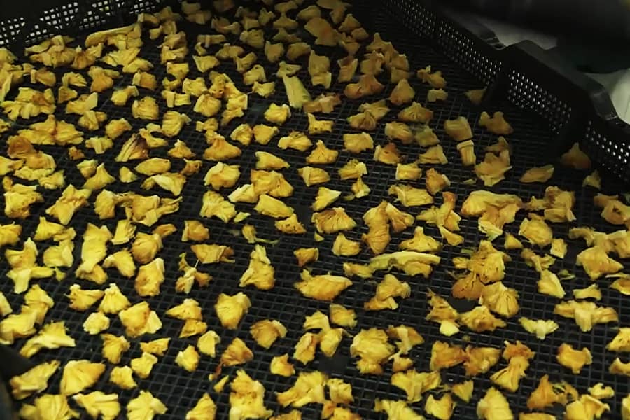 Wallaroo products being made