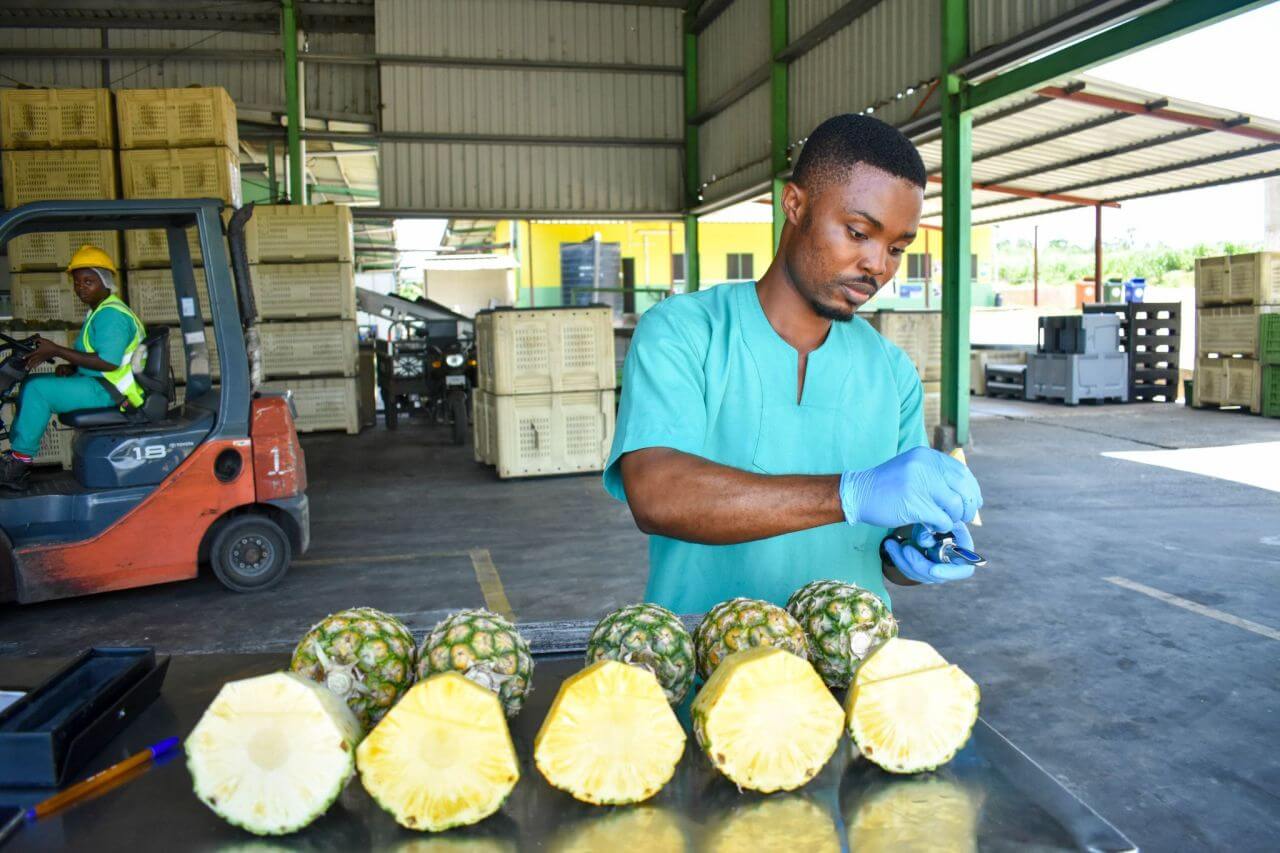 Wallaroo organic dried pineapple chunks