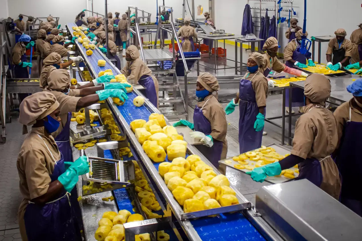 Wallaroo organic dried pineapple chunks